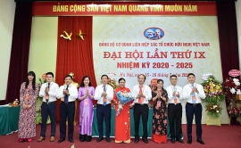 Bà Nguyễn Phương Nga đắc cử Bí thư Đảng ủy Liên hiệp các tổ chức hữu nghị Việt Nam