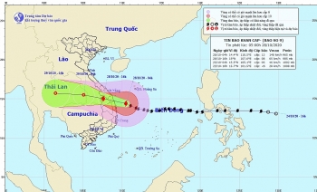 bao so 9 molave cach phu yen 180km gio giat cap 16