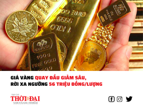 Giá vàng quay đầu giảm sâu, rời xa mốc 56 triệu đồng/lượng