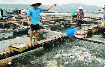 chinh phu ho tro 102 ty dong de phat trien thuy san