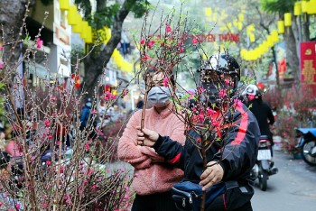Hà Nội tổ chức 78 điểm chợ hoa Xuân phục vụ Tết Nguyên đán Nhâm Dần 2022