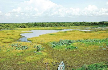 tiep tuc cam ket bao ve su dung ben vung cac vung dat ngap nuoc