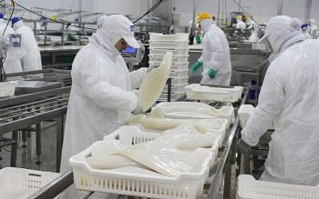 nam 2021 xuat khau muc va bach tuoc cua viet nam tang 7