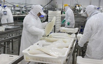 Năm 2021, xuất khẩu mực và bạch tuộc của Việt Nam tăng 7%