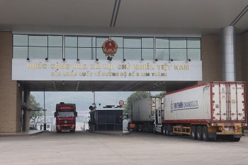 lao cai tam dung tiep nhan phuong tien cho trai cay len cua khau