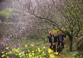 bac bo duy tri trang thai ret dam ret hai den mung 5 tet
