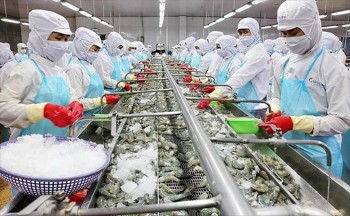 Tháng 3/2022: hơn 10 doanh nghiệp Việt Nam sẽ tham gia hội chợ thủy sản hàng đầu thế giới