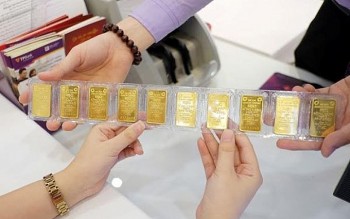 gia vang trong nuoc tang manh vuot moc lich su 64 trieu dongluong