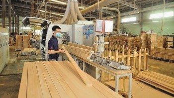 Nhiều cơ hội cho gỗ và sản phẩm gỗ của Việt Nam tăng xuất khẩu sang Hoa Kỳ
