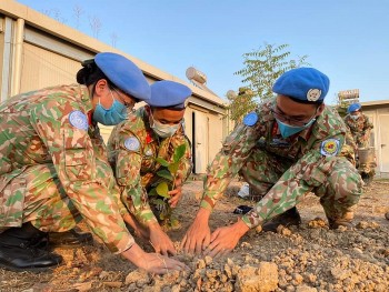 chien si mu noi xanh viet nam trong cay nhan ky niem ngay sinh chu tich ho chi minh
