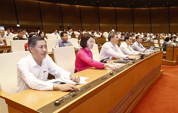 quoc hoi thong qua luat sua doi bo sung cua luat so huu tri tue