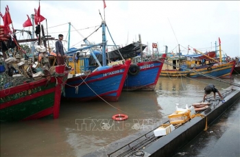 khac phuc the vang iuu xu ly triet de nhung vi pham trong khai thac