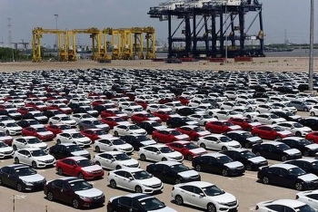 Ô tô nhập khẩu vào Việt Nam giảm mạnh trong tháng 8/2021