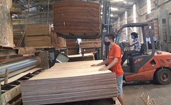 Hoa Kỳ gia hạn kết luận điều tra chống bán phá giá gỗ dán từ Việt Nam