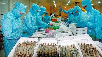 nhu cau thuy san cua eu hoi phuc can tan dung co hoi trong nhung thang cuoi nam