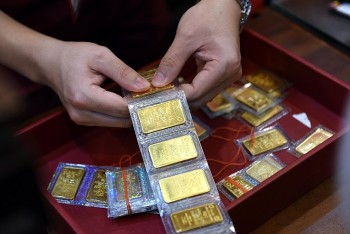 dau tuan gia vang trong nuoc tang nhe