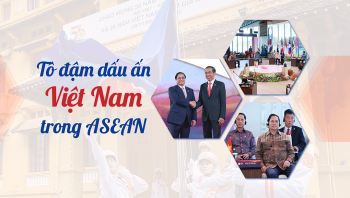 to dam dau an viet nam trong asean