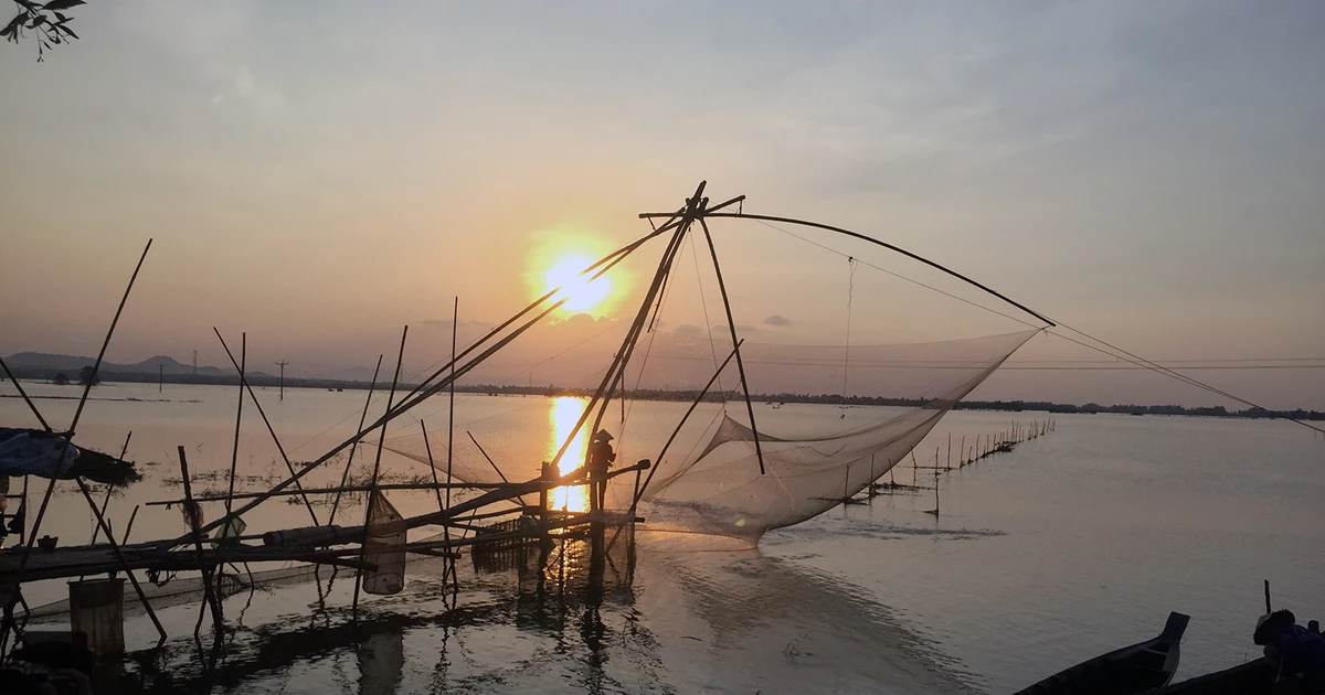 muu sinh trong mua nuoc noi