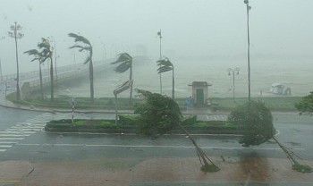 bao so 7 da suy yeu bao so 8 giat cap 11 dang tien ve bien dong