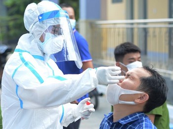 ngay 2010 trong nuoc ghi nhan 3646 ca mac covid 19