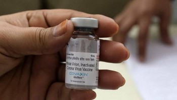 Phê duyệt có điều kiện vaccine phòng COVID-19 Covaxin