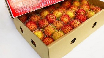 eu dua ra 4 canh bao voi san pham viet nam xuat khau trong thang 102021