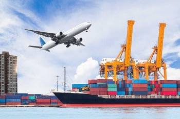 Việt Nam nhập siêu 370 triệu USD chỉ trong nửa đầu tháng 11/2021