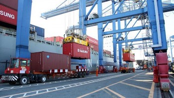 ca n can thuong ma i da o chie u vie t nam xuat sieu 225 trieu usd trong 11 thang nam 2021