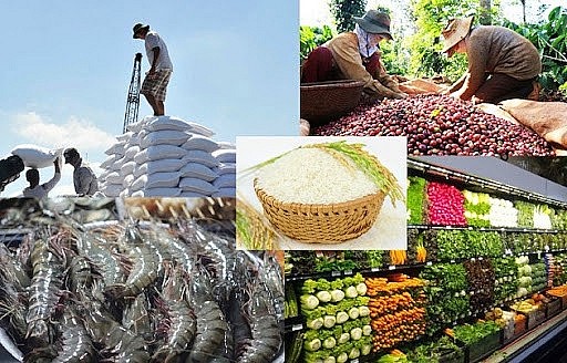 Xuất khẩu nông, lâm, thủy sản có khả năng đạt trên 47 tỷ USD trong năm 2021