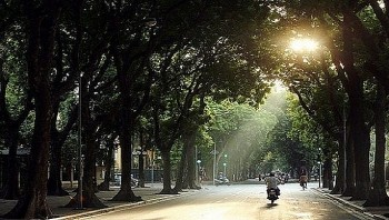du bao thoi tiet 1612 ha noi dem va sang troi ret trua chieu co nang