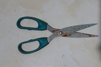 tin tuc phap luat sang 131 nam sinh lop 8 dam hoc sinh lop 5 tu vong