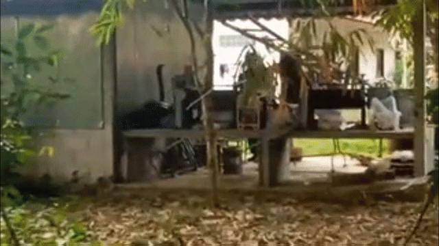 video hoang hon khi phat hien ho mang chua dai 4m trong san