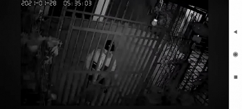 Video: Trộm chó ngang nhiên đạp cửa nhà dân