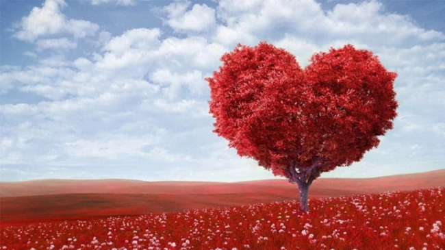 ngay valentine nam nay nham vao mung may tet