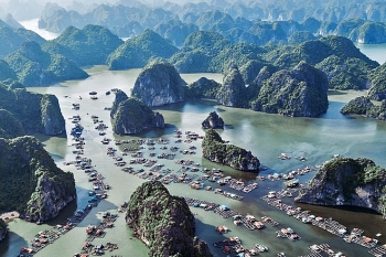 loat trai nghiem khong the bo qua tai cat ba