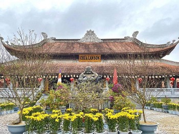 kien truc doc dao cua ngoi chua bang go lon nhat xu nghe