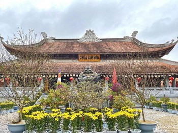 Kiến trúc độc đáo của ngôi chùa bằng gỗ lớn nhất xứ Nghệ