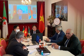 cam nang giup doanh nghiep viet tiep can thi truong algeria