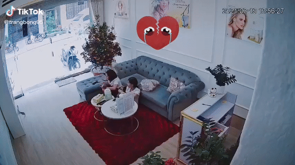 video hoang hon vi ran bo vao cua hang