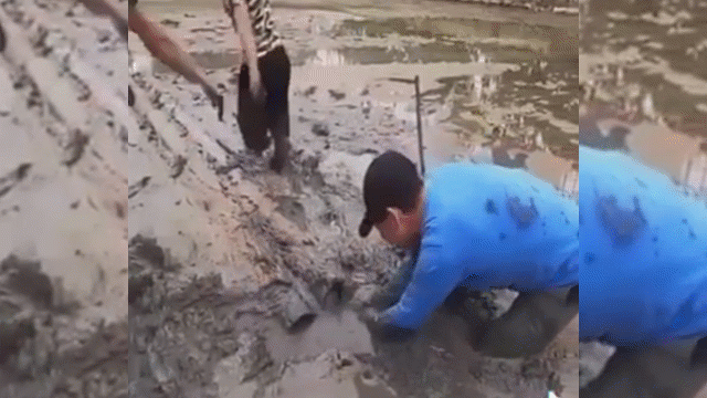 video di bat ba ba nhom thanh nien hoang loan rung roi khi tom dung dau tran khung