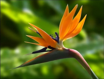 top con giap den dui nhat 3 ngay toi 114 1342021 vuong hoa tieu nhan bi dong nghiep nghi ngo ganh ghet