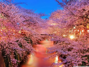 tu vi tuan moi 124 den 1842021 tuoi tuat tinh duyen cong danh tai loc