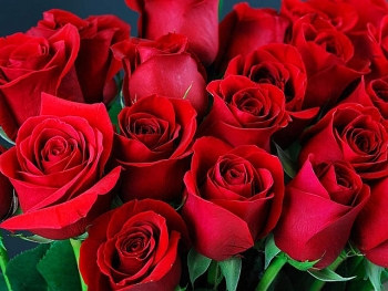 tu vi tuan moi 124 den 1842021 tuoi suu tinh duyen cong danh tai loc