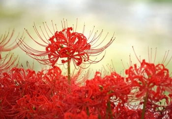 tu vi tuan moi 124 den 1842021 tuoi ngo tinh duyen co nhieu bat loi