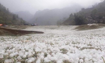 thoi tiet 10 ngay toi tu 11 den 2142021 tay bac bo de phong loc set va mua da troi chuyen lanh