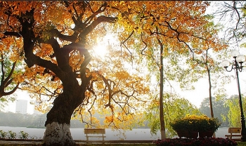 thoi tiet 10 ngay toi tu 15 den ngay 2542021 nhieu vung xuat hien mua rao va giong nam bo co noi nang nong