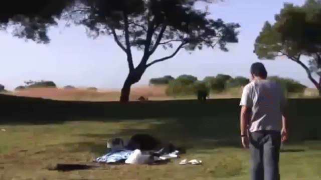 video than ung ket lieu ran khong lo sau cu bo nhao huyen thoai