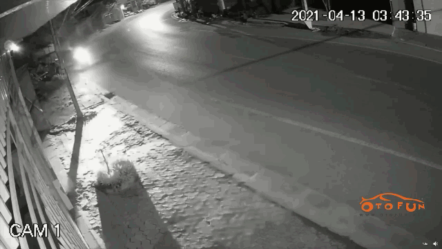 camera giao thong dang vao cua thanh nien bat ngo bay vang kinh hoang khoi xe vi dam trung bon hoa