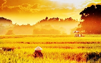 thoi tiet ngay mai 254 tay bac bo nang nong gay gat nhiet do cao nhat tren 38 do