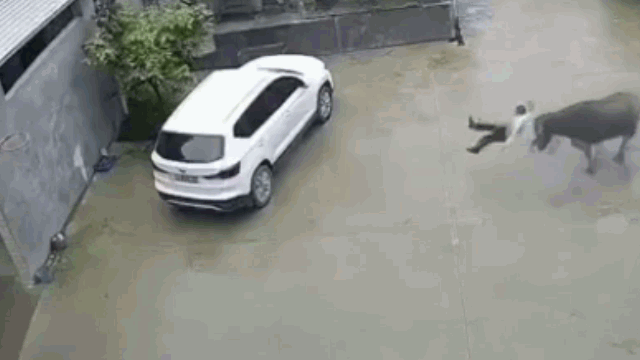 video bi khieu khich trau duc bat ngo noi dien lao toi huc cau be